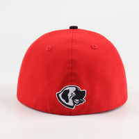 Op maat gemaakte 6-delige snapback petten van fabrikanten, ademend, waterdicht, geschikt voor buitengebruik, golfpetten, snapback met geborduurd logo.