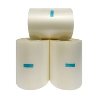 Film de protection pyrolytique en acrylique double face anti-adhésif UV pour la découpe de puces semi-conductrices et de verre, 0,07-0,2 mm, vente en gros