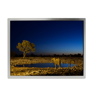 Módulo LCD AV116FHQ-N80 de 11.6 Pulgadas, 1920RGB*1080 FHD, 190PPI, Pantalla LCD Nueva para Automoción - Product Image 1