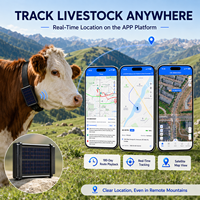 Rastreador GPS Solar para Ganado de 20000mAh Directo de Fábrica con Integración de API de Plataforma Personalizada para Animales Grandes