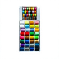 Linyu 60 Bobines de Fil à Coudre Mini et Canettes pour Machine à Coudre en Polyester Filé – Kit de Couture de Voyage