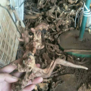 고품질 물고기 탱크 장식 천연 나무 자연 수족관 드리프트 나무 - Product Image 4