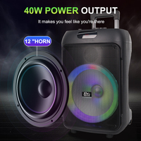 Sing-E ZQS12148 2024 Nouveau haut-parleur karaoké portable de 12 pouces 40W RGB avec deux microphones UHF sans fil pour une utilisation facile