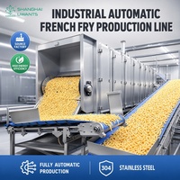 Ligne de production de frites surgelées industrielles entièrement automatique de qualité supérieure, machine à fabriquer des frites fraîches coupées en bâtonnets