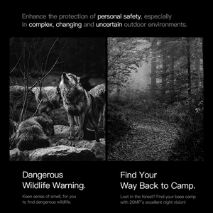 2025 yeni FP20 Pro taşınabilir endüstriyel IP68 cep telefonu 2.6Ghz 6.6 inç dokunmatik ekran NFC Android14 terminali barkod tarama <span class=keywords><strong>PDA</strong></span> - Product Image 2