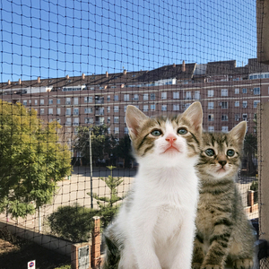 Rete di Sicurezza Anti-Fuga per Gatti 3x3cm con Rinforzo in Filo di Acciaio Inossidabile per Balcone e Rete per Gatti - Product Image 4