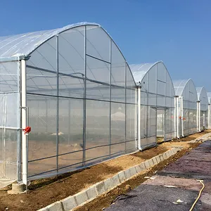 Excellent Strength Muti-Span Green House Plastic Multispan Greenhouse