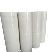 Película de Mylar Transparente de Alto Voltaje 6020 de YONGQUAN - Certificación ROHS
