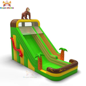 Château gonflable géant en PVC à thème <span class=keywords><strong>de</strong></span> dessin animé pour enfants et toboggan géant pour jardin, couleur et taille personnalisables - Product Image 3