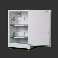 Armoire de stockage et de chargement de batteries Armoire double paroi ignifuge CE Armoire de chargement de batteries antidéflagrante pour batteries