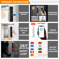 Cerradura Inteligente OEM de Alta Seguridad para Hogar, con Tarjeta IC, Entrada de Datos, WiFi Tuya, TT BLE, Soporte en la Nube para Acero/Vidrio/Madera D1-6