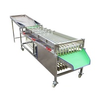Machine automatique de tri et de lavage de fruits frais (citrons, myrtilles, oranges, dattes)