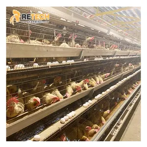 Automatic Poultry Equipment Layer Laying Hens Chicken Battery Cage for Sale