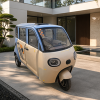 Tricycle électrique de fret à carrosserie fermée, mini, 4 portes, 3 passagers, EV basse vitesse, haute capacité de charge, avec toit, directement de l'usine
