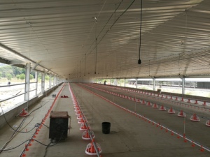 2024 nouvelle Structure en acier léger préfabriqué bâtiment de ferme personnalisé poulet canard volaille maison bâtiment - Product Image 3