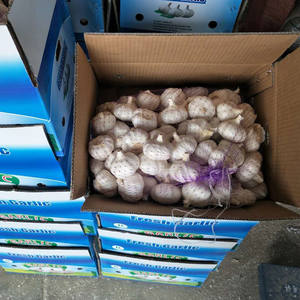 来自中国的新鲜大蒜批发价 - Product Image 6