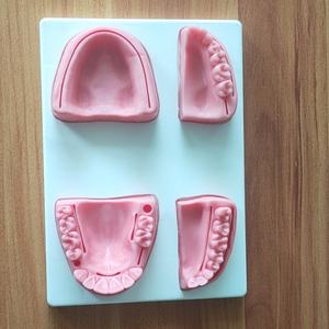 หุ่นฝึกเย็บแผลในช่องปากขนาดเท่าคนจริง พร้อมฐานและโมดูลฟัน สำหรับนักศึกษาทันตกรรม ฝึกอบรมการสอนขั้นสูง อุปกรณ์ทำจาก PVC - Product Image 5