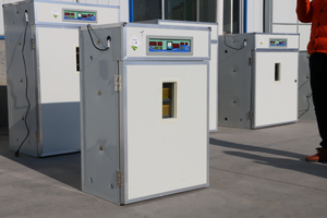 Incubadora automática de <span class=keywords><strong>huevos</strong></span> de gallina de <span class=keywords><strong>Guinea</strong></span> 352 - Product Image 6