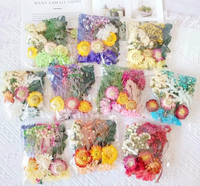 Materiales de bricolaje flores secas mixtas personalizar bolsa de Opp decoración de Pascua fiesta de boda decoración de la tienda del hogar