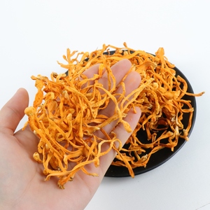 Offre spéciale pour aliments sains, Cordyceps séchés, fleur <span class=keywords><strong>militaire</strong></span>, corps fruité - Product Image 6