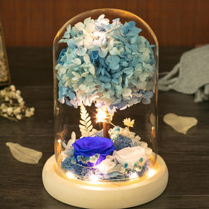 Boîte cadeau de fleurs éternelles avec couvercle en verre, ornement pour <span class=keywords><strong>la</strong></span> Saint-Valentin, petite amie, épouse, meilleure amie, <span class=keywords><strong>maman</strong></span>, cadeau d'anniversaire, rose séchée - Product Image 2