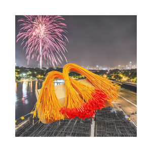 Plastic firecrackers 1.4S Professional Electric E-Match Igniters CE Certified Fireworks & Firecrackers
