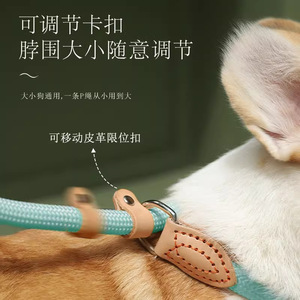 Hoopet <b>Dog</b> <b>Leash</b> P-Chain Integrated Anti Breakage Durable For Medium <b>Dogs</b> Walking Lead - Product Image 3