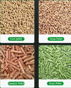 Projet complet de machine à granulés de bois, ligne de production de granulés de combustible biomasse à partir de sciure de bois avec broyeur, concasseur, sécheur et pelletiseur - Product Image 3