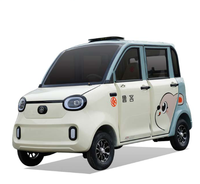 Voiture électrique pour adultes BAIMA 60V1000W, mini véhicule électrique à 4 roues homologué pour la route avec batterie au plomb-acide pour les familles et les particuliers