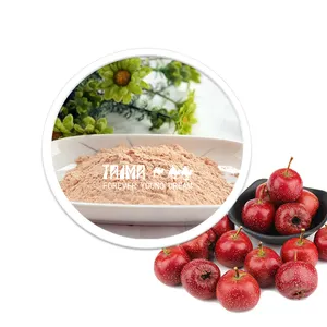 泰玛食品添加剂优质山楂粉粉食品香精热销