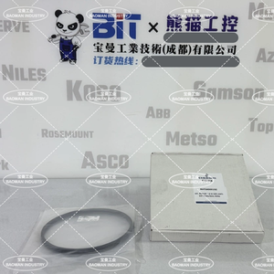 Kits de réparation Emerson Fisher RHTSX000192 8 pouces ORF, Anneau anti-extension, Anneau d'étanchéité N° de pièce 480153577 - Product Image 5