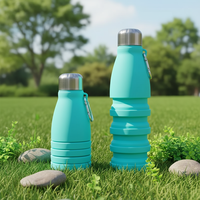 Bouteille d'eau de sport pliable, sans BPA, étanche, grande capacité 550 ml, en silicone, personnalisable OEM ODM