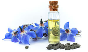 Nutrifirst Suplementos femeninos Vegetariano No GMO GLA Omega 369 Aceite de borraja refinado 500mg 1000mg Gelatina o gel blando vegano - Product Image 3