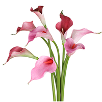 Fait à la main petit toucher réaliste artificiel Calla Lily doux EVA tige unique mariage décor à la maison pour Thanksgiving saint valentin