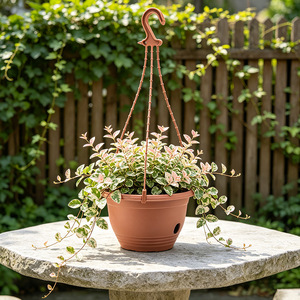 Macetas Colgantes de 10 Pulgadas, Macetas para Plantas de Exterior o Almacenamiento para Todas las Plantas de Interior, Flores, Hierbas, Violetas <span class=keywords><strong>Africanas</strong></span> - Product Image 3