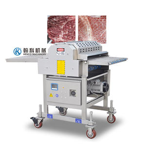 Machine à aplatir semi-automatique pour filets de poulet et bâtonnets de bœuf, contrôlée par PLC, tension personnalisée, attendrisseur de viande, garantie 1 an - Product Image 2