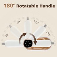 Fer à vapeur électrique portatif et défroisseur de vêtements 1300W avec fonction anti-brûlure à sec, réservoir d'eau de 180ml, alimentation CA, modèle R-811