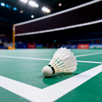 Lot de 12 balles de badminton universelles pour entraînement, intérieur/extérieur, en plumes d'oie droites, avec noyau en liège naturel, durables et stables, vente en gros (76)