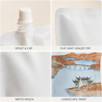 200ml 300ml 500ml 1L 3L 5L Duurzame Stand-up Pouch met uitgiettuit voor melk, gelei, babyvoeding, fruitsap, tomatensaus