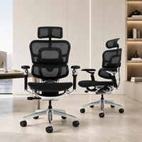 Chaise de bureau ergonomique à dossier haut en maille avec cadre en alliage d'aluminium, accoudoirs 8D et soutien lombaire réglable pour une assise prolongée