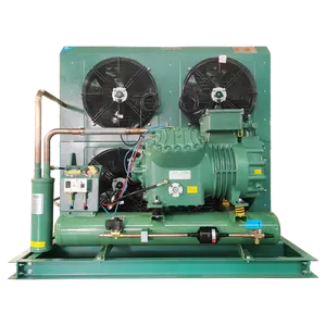 Unité de condensation refroidie par air à deux étages Offre Spéciale de compresseur de Bitzer de haute performance d'entreposage au froid de chambre froide
