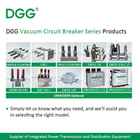 Interruptor de interrupción de carga DGG LBS 10kV 12kV 24kV 630A 1250a SF6 Disyuntor para uso en exteriores 11/24/36kV