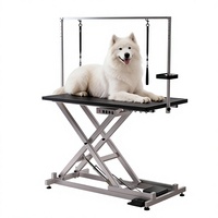Table de toilettage pour animaux de compagnie de taille moyenne à grande, antidérapante, électrique, pneumatique, réglable en hauteur, en métal