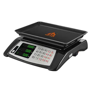 Industrial Price Computing Digital Electrical Weight Machine Electric Scale For Weight 30 Kg