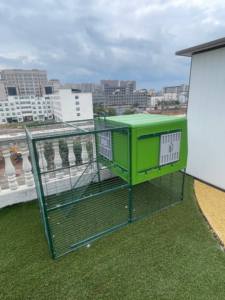 Plastik Tavuk Kümesi - Dayanıklı, Çevre Dostu, Her Mevsim İçin Lüks Tasarım - Product Image 5