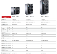 Four à convection combiné commercial Rational 6, 10 et 20 plateaux