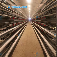 Cage à cailles entièrement automatique de type H en métal avec ligne d'alimentation et d'abreuvement