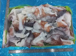 Frozen Giant Calamari Squid With Neck Premium Seafood For Your Meal