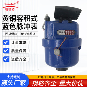 Magnesium Special Trade Digital Water Meter R160 Brass Volumetric Pulse Type Pipeline Counting IP65 - Product Image 5