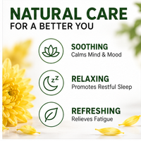 Huile Essentielle de Chrysanthème Sauvage Pure et Naturelle ; Élimine la Chaleur, Détoxifie et Apaise ; Convient pour les Soins du Corps et l'Aromathérapie.